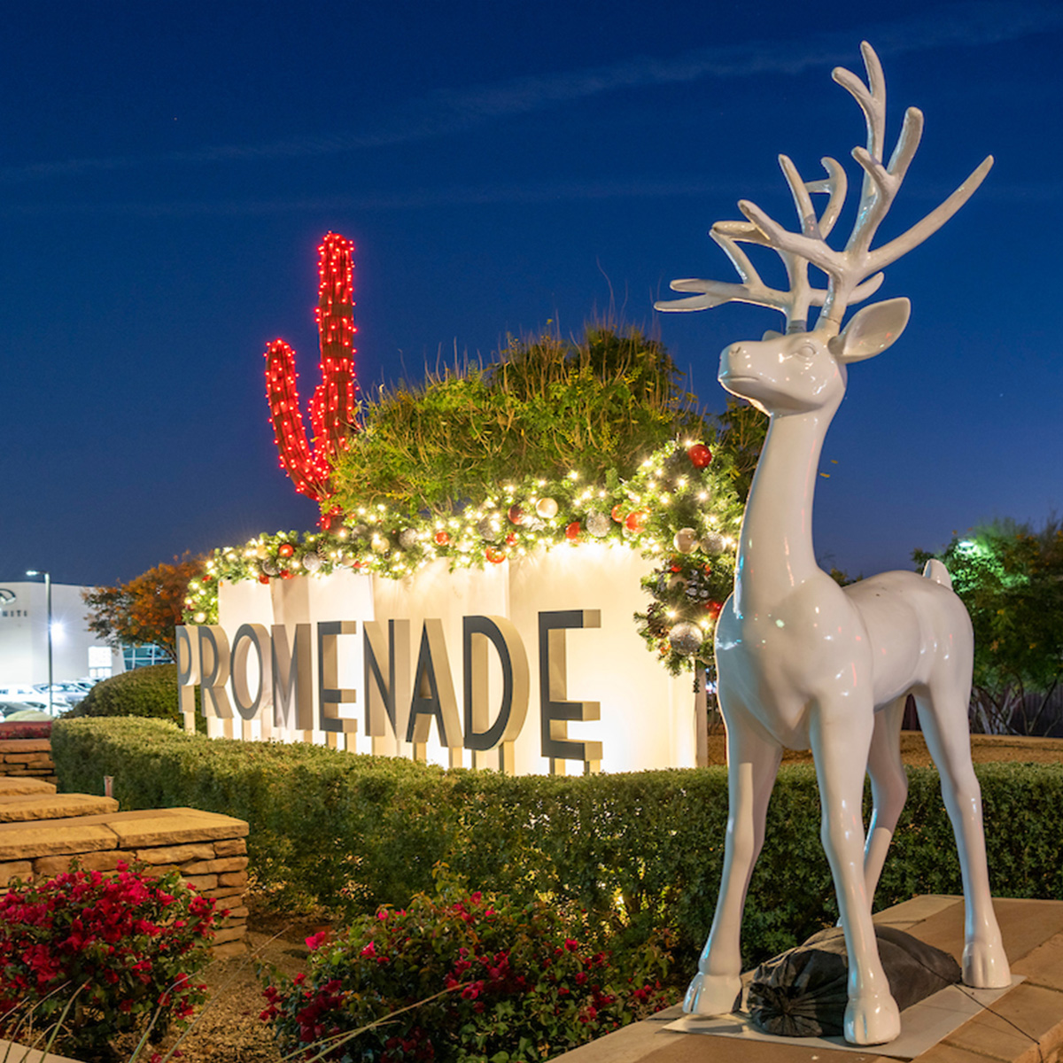 Shopping Centers & Retail Spaces